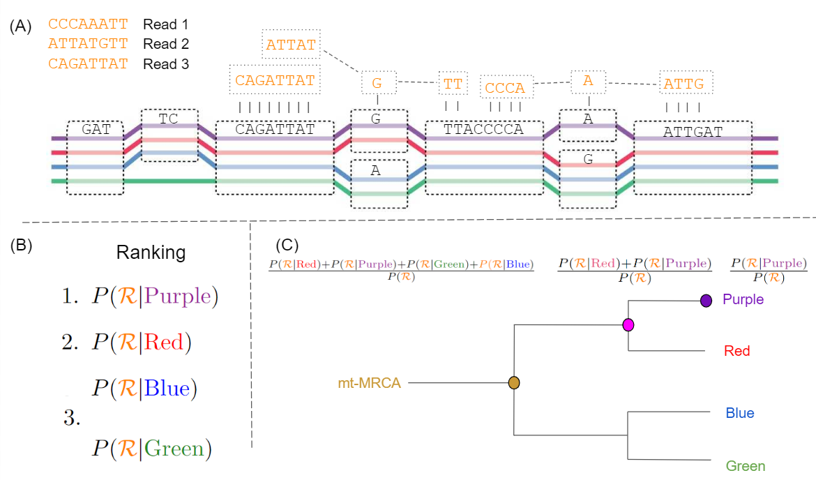 HaploCart 1.0 - DTU Health Tech - Bioinformatic Services