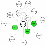 view graph image