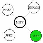 view graph image