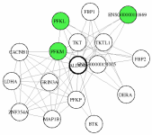 view graph image