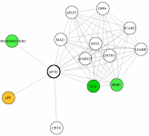 view graph image