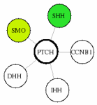 view graph image