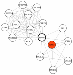 view graph image