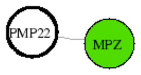 view graph image