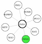 view graph image