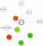 view graph image