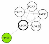 view graph image