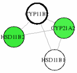 view graph image