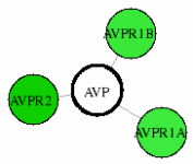 view graph image