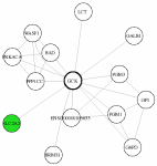 view graph image