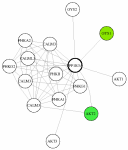 view graph image
