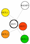 view graph image