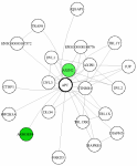 view graph image
