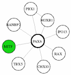 view graph image