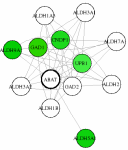 view graph image