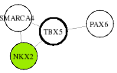 view graph image