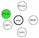 view graph image