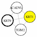 view graph image