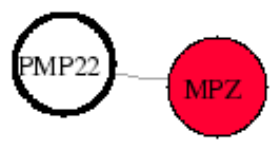 view graph image