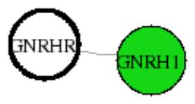 view graph image