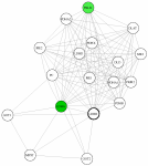 view graph image
