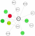 view graph image