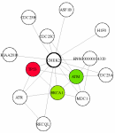 view graph image