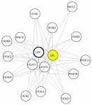 view graph image
