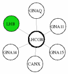 view graph image