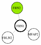view graph image