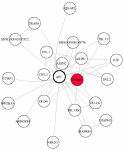 view graph image