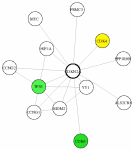 view graph image