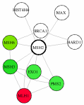 view graph image