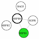 view graph image
