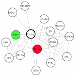 view graph image