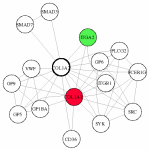 view graph image