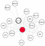 view graph image