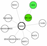 view graph image