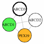 view graph image