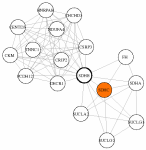 view graph image