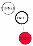 view graph image