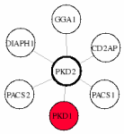 view graph image
