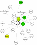 view graph image