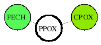 view graph image
