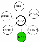 view graph image