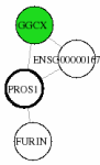 view graph image