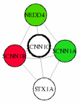 view graph image