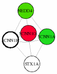 view graph image