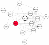 view graph image