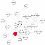 view graph image